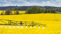 Canola Pest and Disease Management